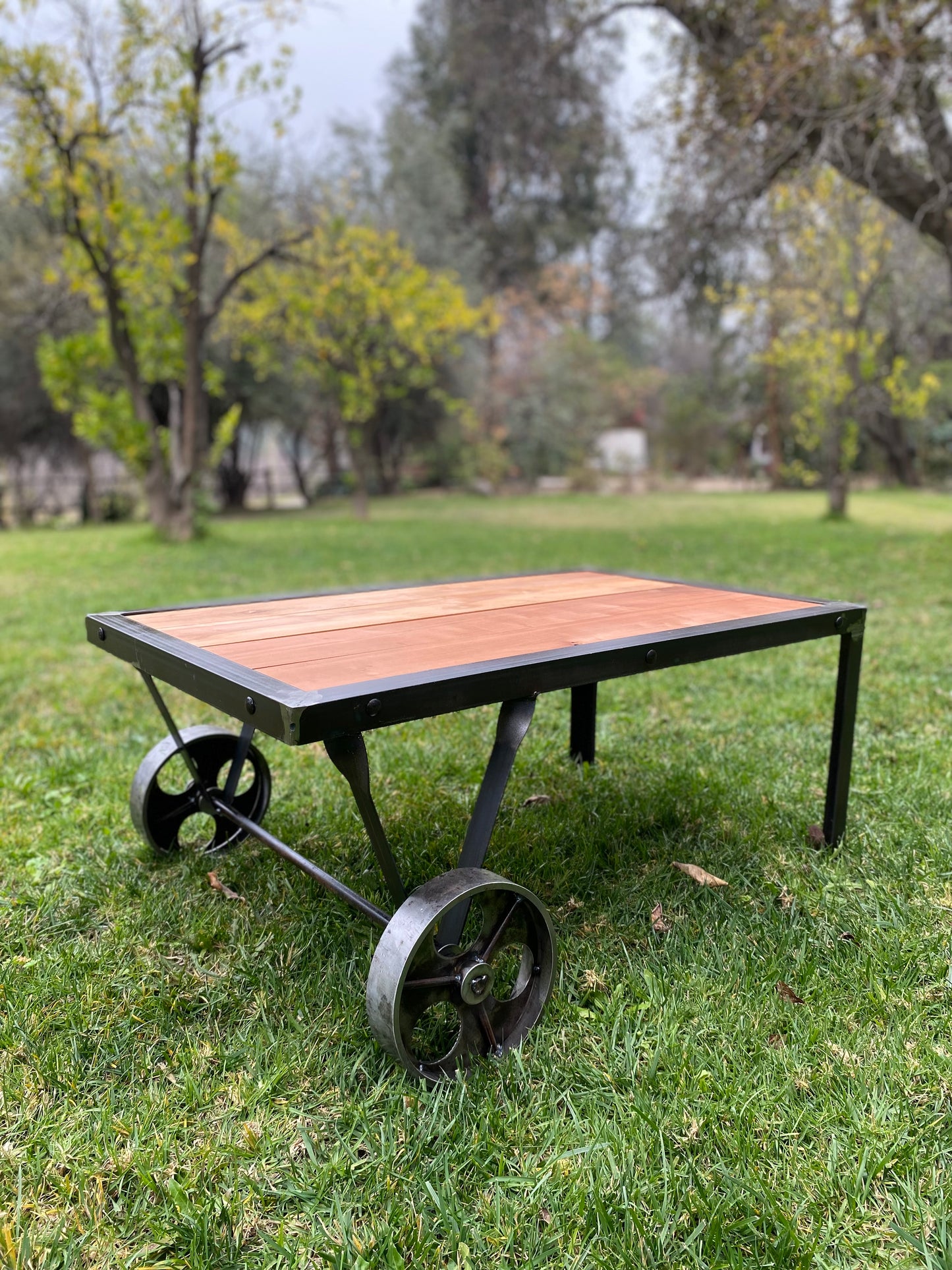 Mesa fierro-roble